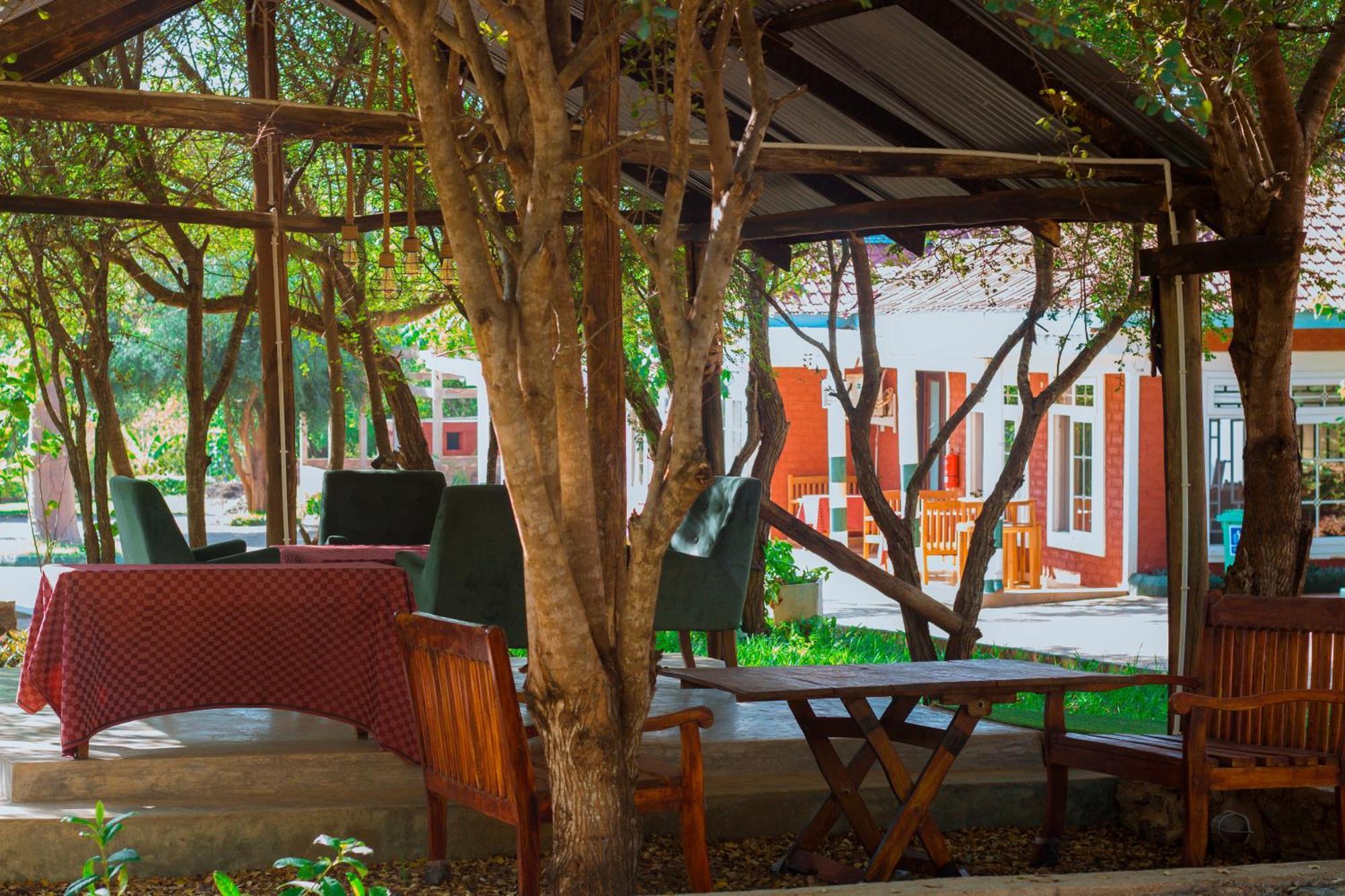 Hegoma Mkomazi Hotels And Camps מראה חיצוני תמונה