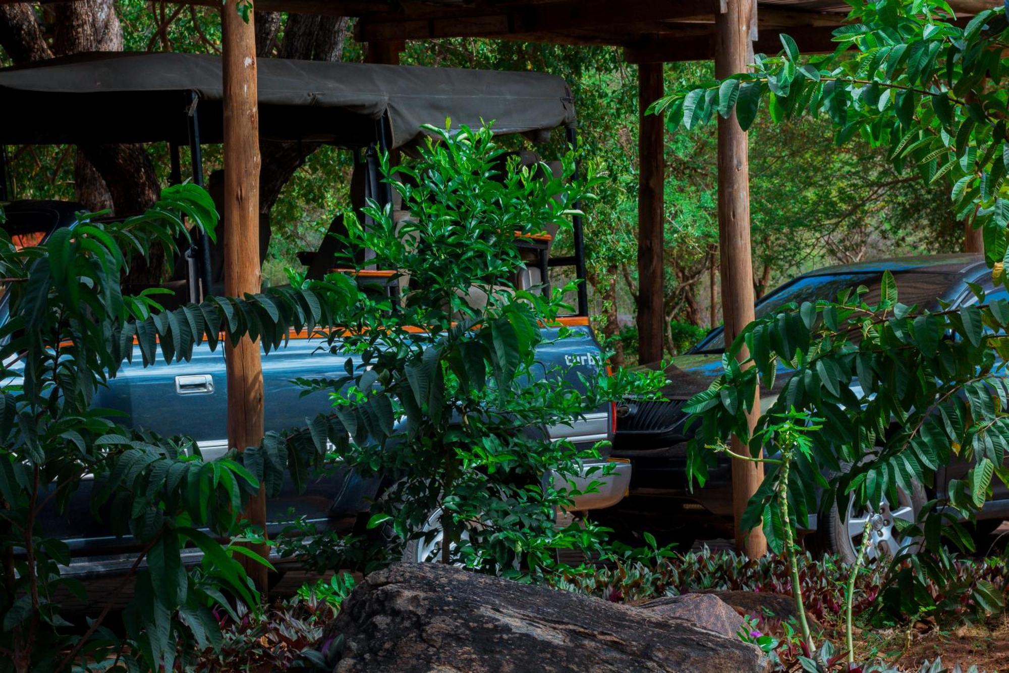 Hegoma Mkomazi Hotels And Camps מראה חיצוני תמונה